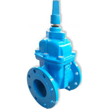 Double flanged gate valve